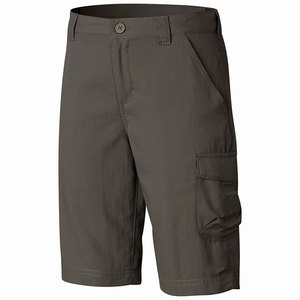 Columbia Silver Ridge™ III Short Pojkar MörkGrå (TDBON6529)